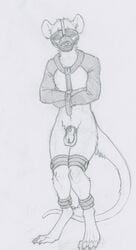 blindfold bondage bound chastity_cage furry mammal monochrome muzzle_(disambiguation) penis procyonid rat rodent ruaidri straitjacket testicles