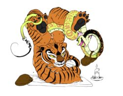 master tigress from kung fu panda by cruelpastry