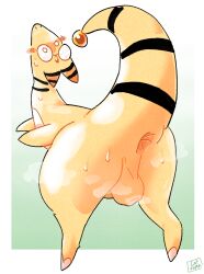 ampharos anus ass balls blush blush_lines catjam_(artist) embarrassed eyewear feral generation_2_pokemon genitals glasses looking_at_viewer looking_back nintendo penis pokemon pokemon_(species) raised_tail solo solo_male striped_tail sweat tail yellow_body