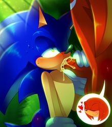 knuckles the echidna from sonic (series) by jayaero