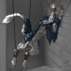 abs anthro blood bodily_fluids bondage bound feet jakkai-reborn looking_at_viewer male male_only malesub prehensile_feet raised_tail sergal solo suspended_in_midair suspension suspension_bondage tail toes yaoi