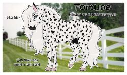 animal_genitalia avamae avaxeya balls equid equine feral fortune_(avamae) fur genitals hair hi_res horse male mammal model_sheet reference_guide references smile solo tail