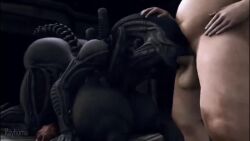 1boy 1futa 3d alien alien_(franchise) alien_girl animated athletic_futanari big_ass big_breasts dat_ass deepthroat face_fucking fellatio female_xenomorph futanari futanari/male growling huge_ass huge_breasts human human_on_humanoid human_penetrating humanoid light-skinned_male male_on_futa miradeathva mistress_miradeath rayhuma sex sound tagme throat_fuck video xenomorph