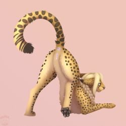 animal_genitalia animal_pussy anus black_paws black_spots blonde_hair blue_eyes braided_hair cheetah felid feline feline_genitalia feline_pussy female fur genitals hair hi_res long_hair mammal nauticalcanine nipples pink_anus pink_nipples pink_pussy pussy solo solo_focus spots yellow_body yellow_fur