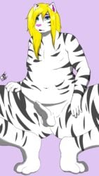 1boy absurd_res anthro balls deathlyfurry erection fat fat_man feline girly hi_res male male_only mammal nyland overweight overweight_male penis pose solo tiger uncut white_tiger