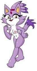 2d 2d_(artwork) areolae blaze_the_cat breasts breasts_out cat cat_ears catgirl erect_nipples feet furry furry_female gem naked naked_female nipples nude_female orange_eyes purple_fur smile smiling sonic_(series) sonic_the_hedgehog_(series) tail themarkedman