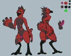 anthro ass avian balls beak bird breath_of_the_wild charbold erection feathers genitals hi_res male model_sheet nintendo nude penis red_body red_feathers rito simple_background solo spread_butt spreading tail the_legend_of_zelda white_body