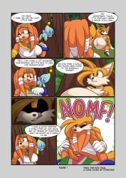 1boy 1girls anthro anthro_pred anthro_prey belly chao_(sonic) comic echidna female_prey fox foxynoms licking_lips male_pred miles_prower oral_vore page_1 page_number sonic_(series) sonic_the_hedgehog_(series) tails tails_the_fox tikal_the_echidna vore vore_comic