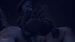 3d alien alien_(franchise) alien_girl animated athletic_female big_breasts female_xenomorph huge_ass human human_penetrating light-skinned_male mp4 no_sound rayhuma sex tagme vaginal_penetration video xenomorph xenophilia