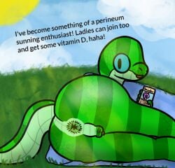 anthro anus ass backsack balls dialogue genitals grass_field hi_res light looking_at_viewer male micropenis nude penis perineum presenting presenting_hindquarters reptile scalie small_penis snake snakeside solo sunlight sunning tail