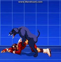 animated athena_asamiya canine cum cum_in_pussy cum_inside dog feral_on_female m.u.g.e.n pixel_art rape snk zoophilia