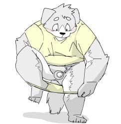 2025 anthro balls black_nose blush canid canine canis clothed clothing domestic_dog fugashi4090 genitals hi_res kemono male mammal micropenis partially_clothed penis shirt simple_background slightly_chubby small_penis solo topwear underwear underwear_down undressing
