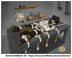 2019 4_toes anthro ball_gag bed black_body black_ears black_fur black_snout blue_claws blue_eyes bondage bondage border bound brown_body brown_fur brown_hair brown_inner_ear canid canine canis chastity_cage chastity_device claws cuff_(restraint) diesel_(dieselshepohio) digital_drawing_(artwork) digital_media_(artwork) domestic_dog dungeon electrostimulation electrostimulation_chastity_cage electrostimulation_chastity_device feet fur furniture gag gagged german_shepherd hair herding_dog inflatable_gag kemira long_tail lying male mammal metal_chastity_cage multicolored_body multicolored_fur muzzle_(object) muzzled on_back on_bed pastoral_dog plug_(sex_toy) pointy_ears prick_ears restraints segufix sensory_deprivation_hood sex_toy shackles solo straitjacket straps tail tail_between_legs text tied_to_bed toes two_tone_body two_tone_fur url white_border