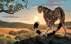 2025 4_toes ass black_spots cheetah claws cloud countershade_torso countershading day digital_media_(artwork) eyewear feet felid feline feral fur glasses hi_res looking_at_viewer looking_back looking_back_at_viewer male mammal markings open_mouth outside pawpads paws reallynxgirl rear_view sky solo spots spotted_body spotted_fur spotted_markings spotted_tail standing sun tail tail_markings teeth toe_claws toes tongue yellow_body yellow_fur yellow_tail