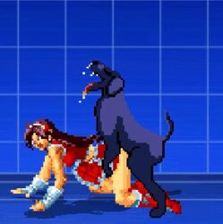 ahe_gao animated athena_asamiya canine clothed clothed_female_nude_male clothed_sex clothes clothing creampie cum cum_in_pussy cum_inside dog doggy_style drool drooling female feral_on_female fight interspecies m.u.g.e.n male pixel_art rape snk vaginal_penetration zoophilia