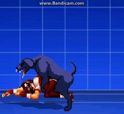 animated athena_asamiya canine cum cum_in_pussy cum_inside dog feral_on_female m.u.g.e.n pixel_art rape snk zoophilia