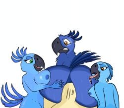 absurd_res anal anthro ass avian bia_(rio) big_breasts big_butt big_penis bird bisexual blue_sky_studios bodily_fluids breasts brown_eyes bubble_butt butt_lick carla_(rio) clenched_teeth female genitals green_eyes hi_res human licking macaw male male/female male/male mammal neotropical_parrot nervous parrot penis rio_(series) saliva seductive shadowriox3 sweat sweaty_butt teeth tiago_(rio) tongue true_parrot wide_hips