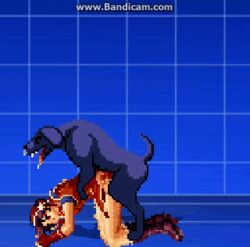 animated athena_asamiya canine cum cum_in_pussy cum_inside dog feral_on_female m.u.g.e.n pixel_art rape snk zoophilia