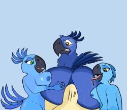 absurd_res anal anon anthro ass avian bia_(rio) big_breasts big_butt big_penis bird blue_background blue_sky_studios bodily_fluids breasts brown_eyes bubble_butt carla_(rio) clenched_teeth female female/female genitals green_eyes group hand_on_butt hi_res human macaw male male/female male/male mammal neotropical_parrot nervous parrot penis rio_(series) saliva seductive shadowriox3 simple_background sweat sweaty_butt tail teeth tiago_(rio) true_parrot vein veiny_penis wide_hips
