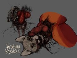 animal_genitalia animal_penis anthro balls blood bodily_fluids canid canine canine_genitalia canine_penis canis corpse death domestic_cat domestic_dog duo felid feline felis genitals gore gore_focus hi_res knot male mammal necrophilia penis puppy_meats rooster_(rottingxrooster) rottingxrooster severed_body_part severed_head snuff wounded