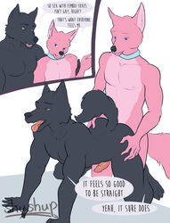 all_fours anal anthro blue_eyes canine collar doggy_style duo erection fox from_behind_position fucked_silly fur furry girly male mammal multicolored_fur nude open_mouth penetration penis pink_fur sex shushup simple_background smile stated_heterosexuality tongue two_tone_fur wolf yaoi yellow_eyes