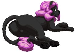 1boy alpha_channel animated anthro balls black_fur brown_eyes digital_media_(artwork) fray_(twinfoxes) fur gif hair long_hair male nude pawpads pink_hair pixel_art solo sphinx transparent_background tsunamidusher