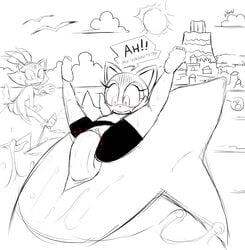 anthro anthro_on_feral blaze_the_cat cetacean defloration dolphin excito female feral highres male mammal marine marine_the_raccoon monochrome penetration public sex sketch sonic_(series) sonic_rush_adventure straight vaginal_penetration zoophilia