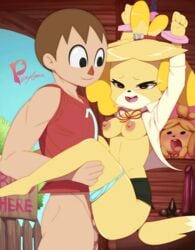 2018 animal_crossing animal_crossing_boy animated anthro balls barefoot blonde_hair bondage bottomless breasts brown_hair canine clothed clothing female fur hair hair_ornament human human_on_anthro interspecies isabelle_(animal_crossing) long_ears looking_pleasured male male_penetrating mammal masterploxy nintendo nipples panties panties_around_one_leg penetration penis photo plantigrade pussy sex shih_tzu short_hair straight underwear underwear_around_one_leg vaginal_penetration video_games villager_(animal_crossing) yellow_fur