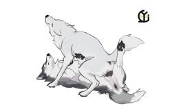 absurd_res anus ass canid canine canis dominant dou female female/female feral hi_res looking_at_another lying mammal pussy_stacking spread_legs spreading wolf yinglizi_(artist)