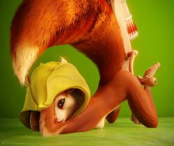 3d 777bronzestar anthro anthro_focus dota female female_focus hoodwink_(dota) mammal rodent sciurid seductive size_difference smaller_anthro smaller_female solo_focus spread_legs spreading tail tree_squirrel