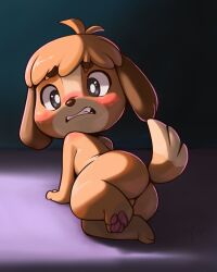 ajin animal_crossing anthro ass balls barely_visible_balls barely_visible_genitalia big_head blush brown_hair canid canine canis digby_(animal_crossing) domestic_dog feet genitals hair hi_res looking_at_viewer looking_back looking_back_at_viewer lying male male_only mammal nintendo nude on_side pawpads shih_tzu solo toy_dog