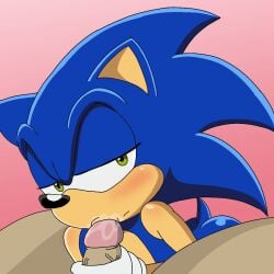 blue_body eulipotyphlan fellatio genitals green_eyes handjob hedgehog holding_penis male male/male mammal oral penile penis sega sex solo_focus sonic_(series) sonic_the_hedgehog sonic_the_hedgehog_(series) sonic_x spanky15 tms_entertainment