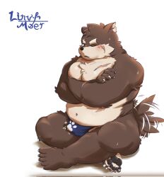 anthro asian_clothing belly blush canid canine canis clothed clothing domestic_dog east_asian_clothing erection erection_under_clothing eyebrows fundoshi fur grey_body grey_fur hi_res japanese_clothing lifewonders linvf1 male mammal moritaka musclegut navel nipples pawpads pecs scar solo tail tail_motion tailwag thick_eyebrows tokyo_afterschool_summoners underwear