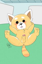 aggressive_retsuko anthro anus balls erection glitchedweasel male male_only mammal penis red_panda resasuke smooth_fur solo