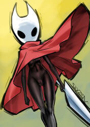 Hollow Knight (Franchise) Rule 34 Image