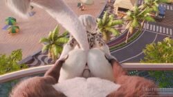 16:9 1boy 1girls 3d_(artwork) 3d_animation 3d_fluid_sim 5_fingers alternate_species animated anthro anthro_on_anthro anthro_penetrated anthro_penetrating anthro_penetrating_anthro anthro_pov anus arm_pull balcony beach bent_over big_penis bodily_fluids brown_body brown_fur canid canine consistent_pov cum cum_from_vagina cum_in_vagina cum_inside detailed detailed_fur digital_media_(artwork) duo ejaculation erection excessive_cum excessive_genital_fluids faceless_character felid female female_penetrated fingers first_person_view fluffy fluffy_tail fox from_behind_position fur fur_markings furflection furrification genital_fluids genitals grabbing_from_behind hair huge_cock huge_filesize huge_hips huge_thighs humanoid_genitalia humanoid_penis leaking_cum long_penis long_playtime loop male male/female male_penetrating male_penetrating_female male_pov mammal markings mayosplash_(modeler) nameless_character nier:_automata nude nude_anthro orgasm orgasm_face outside pantherine penetration penile penile_penetration penis penis_in_vagina plant platinum_games pov prison_guard_position railing realistic_fur sand sex small_waist snow_leopard sound standing standing_doggystyle standing_sex tagme tail tail_motion thick_thighs tree vaginal_penetration video white_body white_fur wide_hips widescreen yorha_2b yorha_2b_(mayosplash)