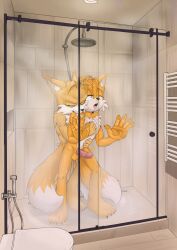 absurd_res anal anal_sex anthro bite canid canine duo fox hi_res male male/male mammal penetration r3gu1u5 sega sex shower shower_sex sonic_(series) sonic_the_hedgehog_(series) tails tails_nine tails_the_fox