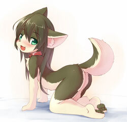 anthro ass blush brown_hair collar cub cute_fang female female_only fluffy_tail furry green_eyes hair_between_eyes kagerofu long_hair looking_at_viewer mammal open_smile original pawpads paws smile solo tail young