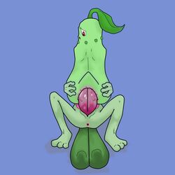 anal chikorita nintendo no_humans pokemon red_eyes tail treecko