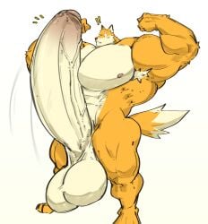 bodybuilder boner erection fox furry hyper hyper_balls hyper_cock hyper_genitalia hyper_penis hyper_testicles male male_only muscles muscular muscular_arms muscular_male nude phosbara solo solo_male