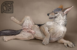 balls black_nose canine cosmiclife hi_res jackal looking_at_viewer male mammal paws penis pinup pose semi-anthro solo spread_legs spreading whiskers