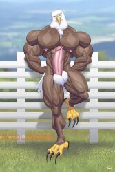 2019 4th_of_july abs accipitrid accipitriform american_eagle anthro avian bald_eagle balls bird chest_tuft eagle erection genitals holidays humanoid_genitalia humanoid_penis looking_at_viewer male male_focus male_only muscular muscular_anthro muscular_male nipples nude pecs penis sea_eagle solo tuft wolfiecanem