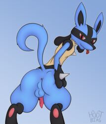 animal_genitalia animal_penis anus ass balls bedroom_eyes canine_penis digital_media_(artwork) erection fur half-closed_eyes hi_res hootbias knot line_art looking_at_viewer looking_back lucario male male_only nintendo penis pokemon pokemon_(species) presenting presenting_hindquarters raised_tail seductive solo spreading standing tongue tongue_out video_games