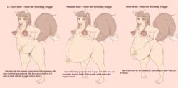 1girls blush breasts canine clitoris_piercing female holo huge_belly humanoid kate-nikki lactating lactation large_breasts mammal milk navel_piercing nude pregnant pubic_hair ready_to_pop spice_and_wolf wolf