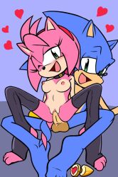 alternate_version_available amy_rose blush blush_lines blushing breasts buttplug collar female heart heart_symbol hearts hearts_around_head hedgehog hedgehog_boy hedgehog_ears hedgehog_girl hedgehog_humanoid leash mouth_open pussy randomguy999 small_breasts sonic_(series) sonic_the_hedgehog sonic_the_hedgehog_(series) stockings uncensored vagina vaginal vaginal_insertion vaginal_penetration vaginal_sex