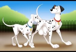 101_dalmatians animal_genitalia balls big_balls canine dalmatian disney feral huge_balls hyper hyper_balls hyper_sheath mammal perdita pongo sheath zetsin