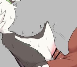 rito from nintendo by manmosu marimo