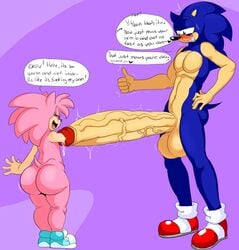 amy rose from sega by denizen1414