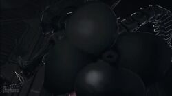 1futa 1futa1girl 1girls 3d 3d_animation 3d_model 720p against_wall alien_(franchise) anal animal_genitalia animal_penis animated anus ass ass_focus balls below_view big_ass big_breasts black_body bouncing_ass breasts curvy curvy_figure curvy_hips duo_focus female female_xenomorph futa_with_female futanari highres huge_balls intersex intersex/female knot knotted_penis large_ass large_balls large_penis longer_than_30_seconds looking_back loop looping_animation low-angle_view nightmare_waifu nipples no_sound penis pussy queen rayhuma sfm shaking shaking_ass short_playtime size_difference smaller_female source_filmmaker standing tagme tail tall thick thick_ass thick_butt thick_legs twerk twerking video voluptuous_futa xenomorph xenomorph_queen xenomorph_tail