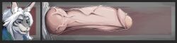 absurd_res big_penis genitals hare hi_res huge_cock hyper hyper_genitalia hyper_penis ixikel knot knotted_penis lagomorph leporid long_image mammal nonbinary_(lore) penis wide_image